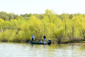 Truman Lake